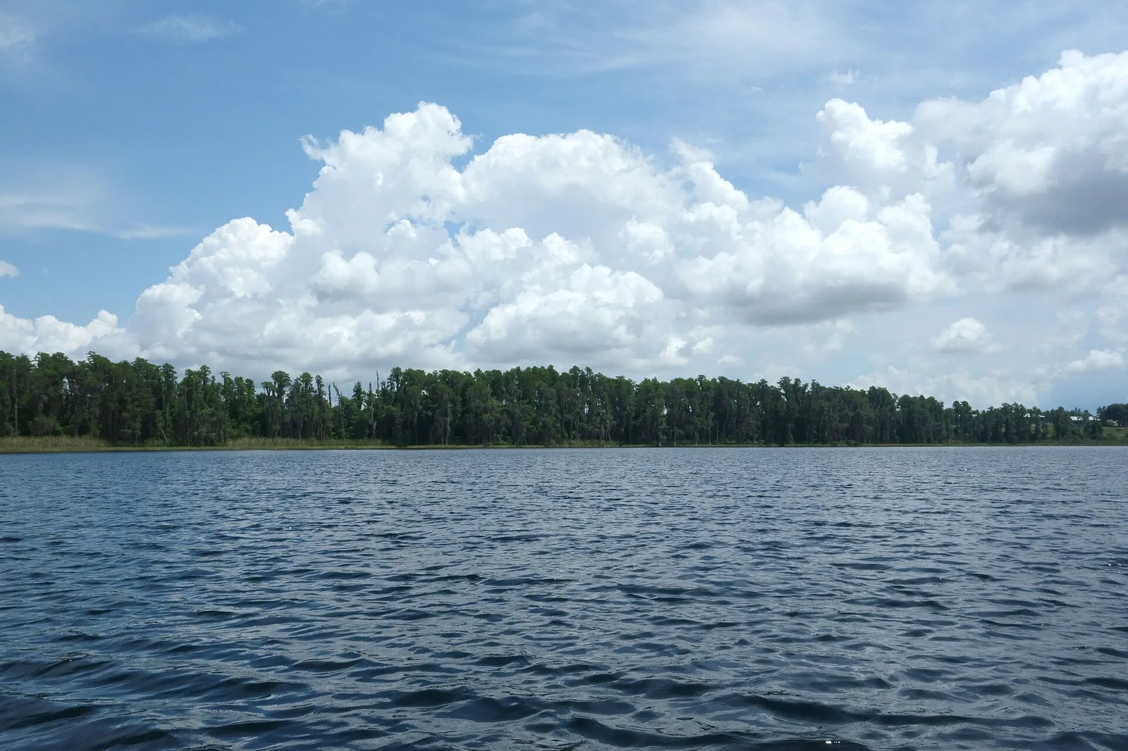 Dixie Lake in Lake Louisa State Park, west of U.S. 27; the city's Wellness Way policies call for open space links to the park